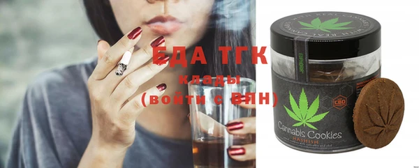 тгк Алзамай