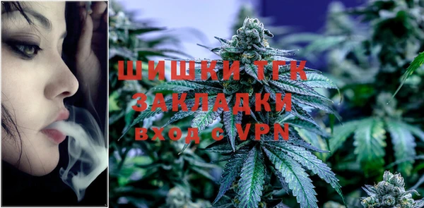 тгк Алзамай