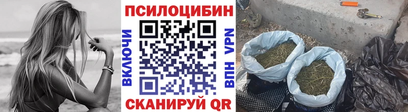 продажа наркотиков  Агидель  Псилоцибиновые грибы GOLDEN TEACHER 
